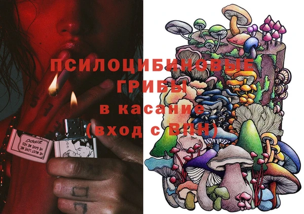 COCAINE Богородицк
